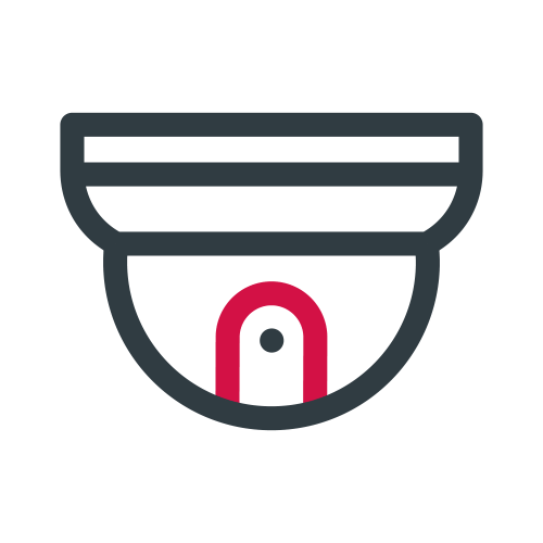 Video Surveillance icon