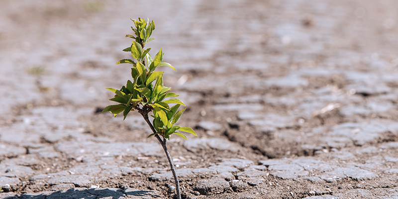 Clear-and-concise-communications-during-environmental-disasters