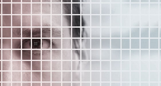 Facial recognition biometrics