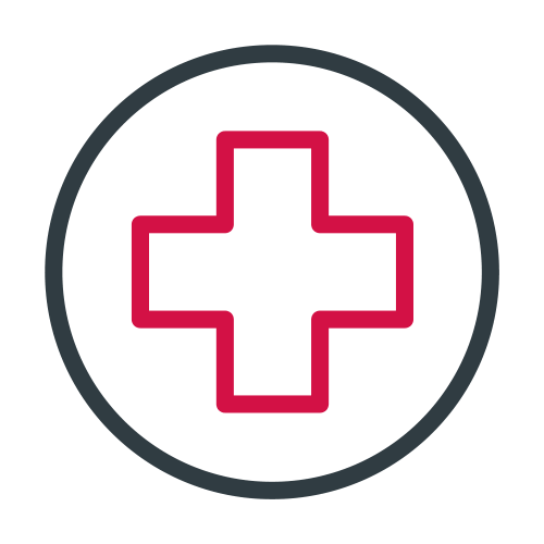 healthcare icon