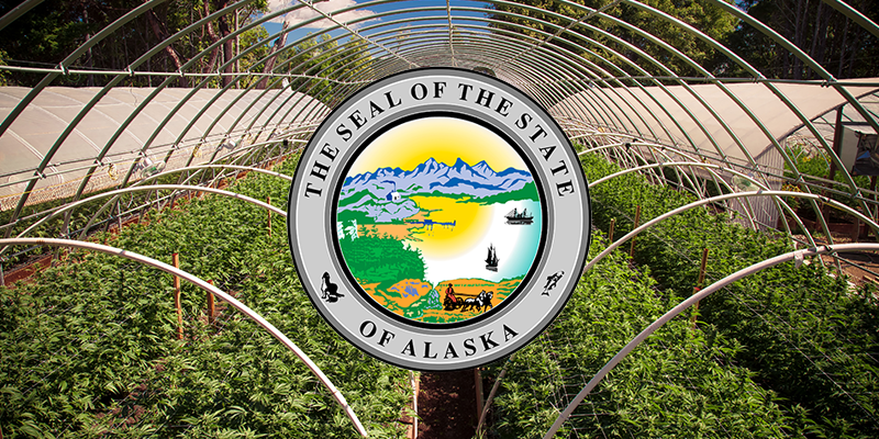 https://www.security101.com/hubfs/Security-requirements-for-the-cannabis-industry-in-Alaska-1.png