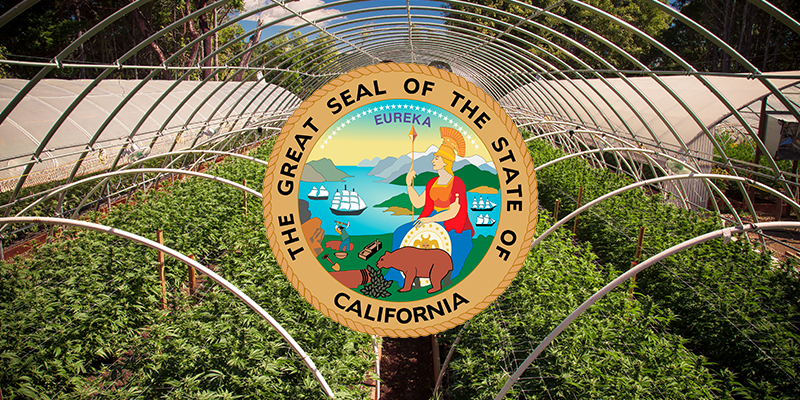 https://www.security101.com/hubfs/blog-files/Security-requirements-for-the-cannabis-industry-in-California.png