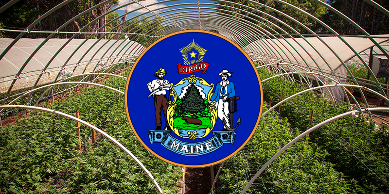 https://www.security101.com/hubfs/blog-files/Security-requirements-for-the-cannabis-industry-in-Maine.png